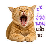 863683128