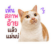 863683133