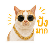 863683134