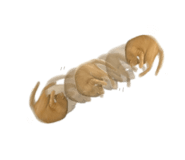 863683394