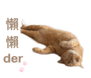 863683395