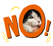 863683404