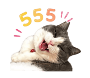 863689409