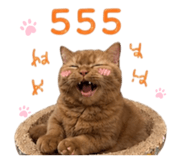863693315