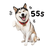 863694091
