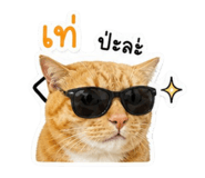863696848