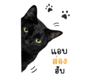 863696866