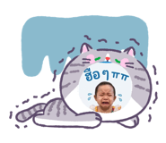 863700146