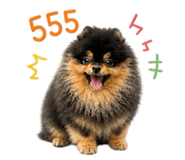 863700322