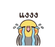 863701514