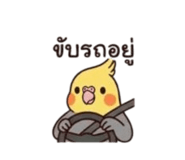 863701519