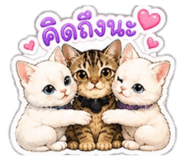 863704145
