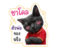 863704545