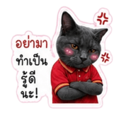 863704554