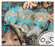 863704913