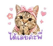 863706725