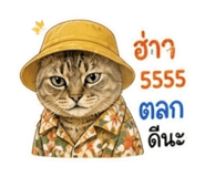863706739