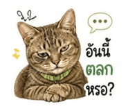 863706740