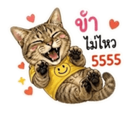 863706741