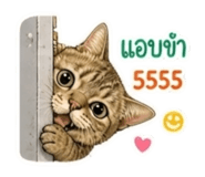863706743