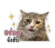 863706797
