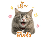 863707164