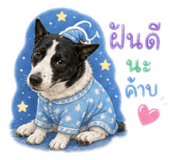 863707815