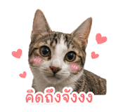 863708830