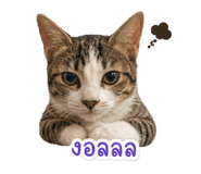 863708832