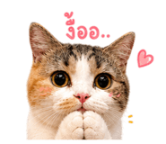 863709049