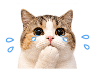 863709050