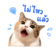 863709057