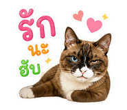 863710339