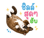 863710345