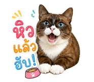 863710349