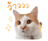 863712923