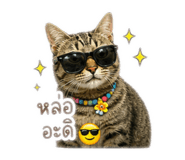 863713228