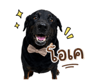 863720985