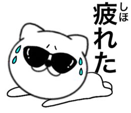 86372205