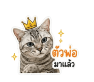 863723138