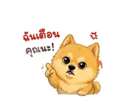 863725924