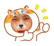 863726017