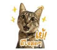 863726189