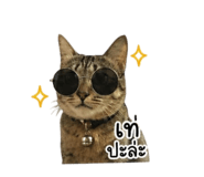 863726190