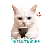 863727277