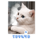 863727279