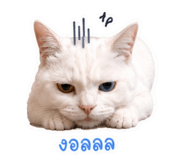 863727280