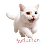 863727283