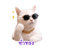 863727286