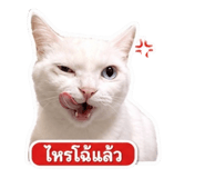 863727287